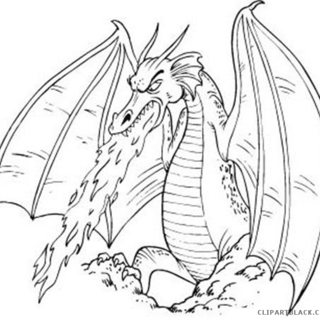 Black And White Dragon Drawings at PaintingValley.com.