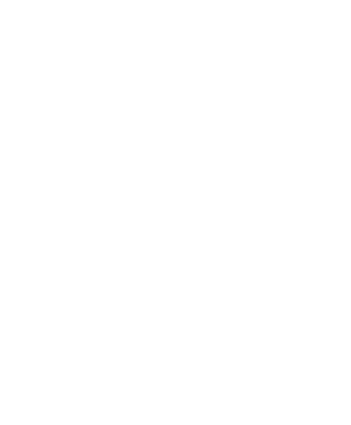 White Eagle Logo.