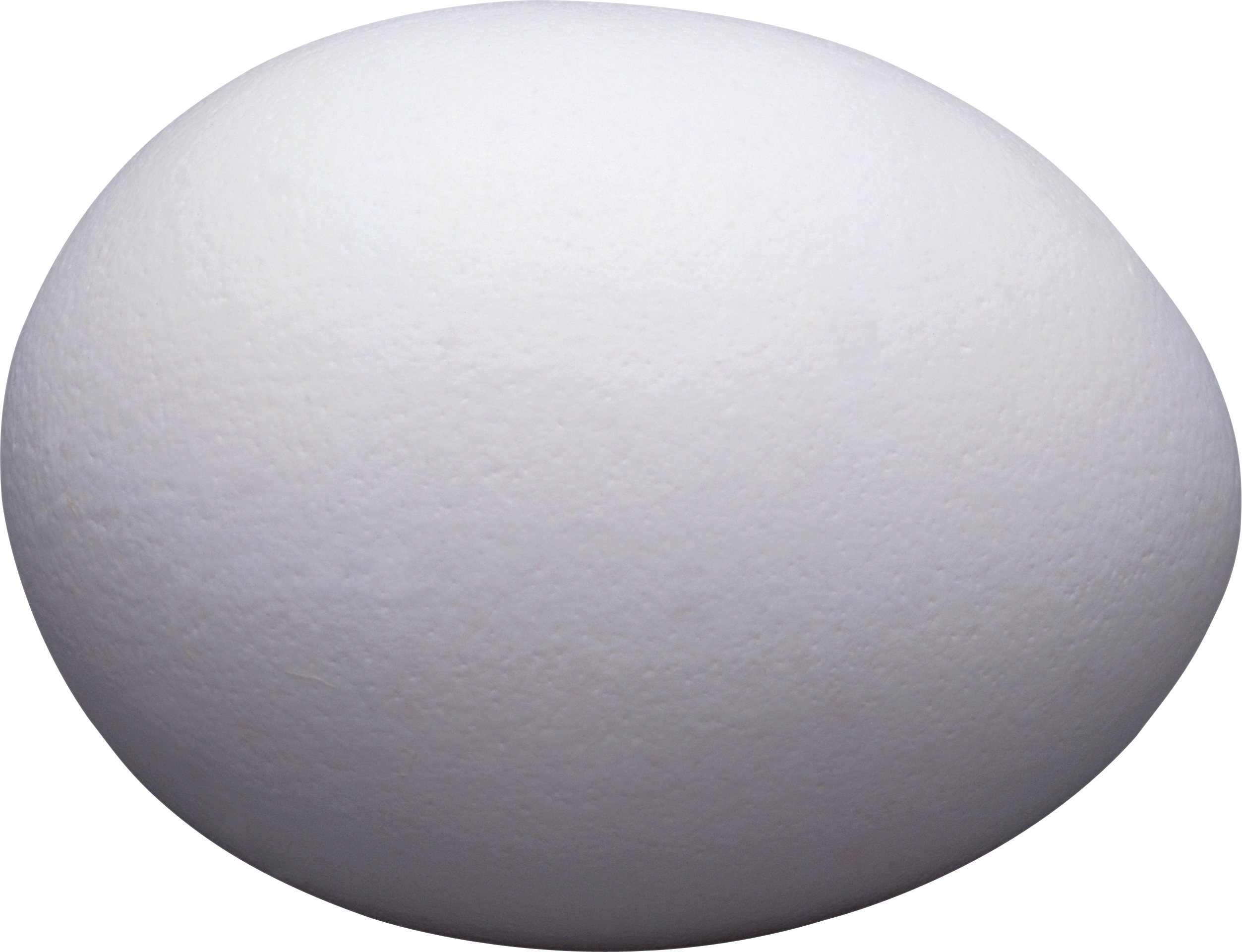 One White Egg PNG Image.