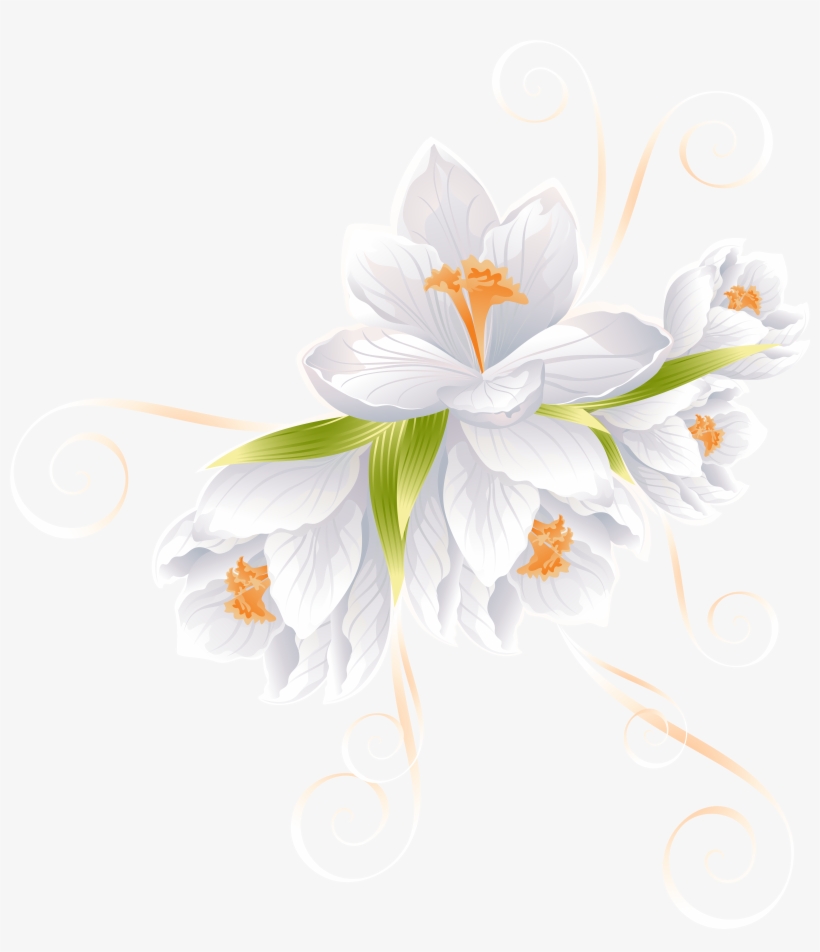 White Flower Decor Transparent Png Clip Art Image.