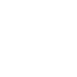 White sun 2 icon.