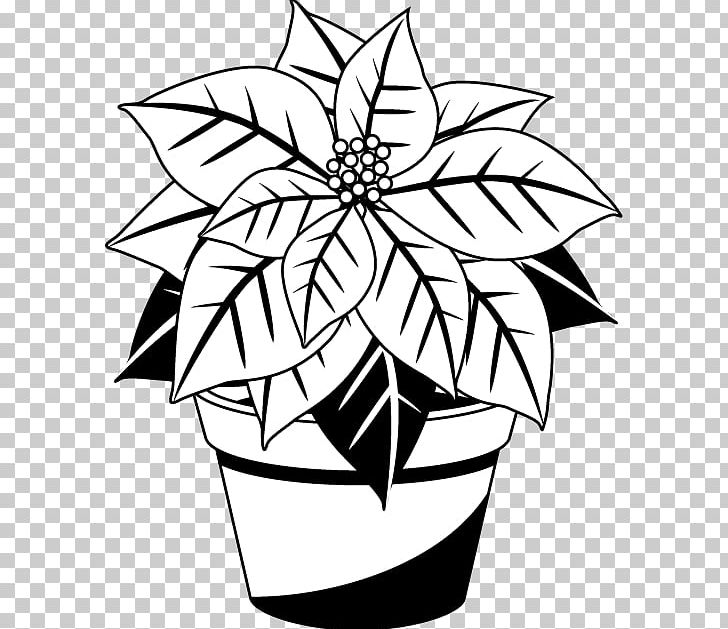 Poinsettia Christmas Black And White Red PNG, Clipart.