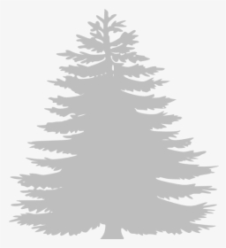 Pine Tree Clip Art , Png Download.