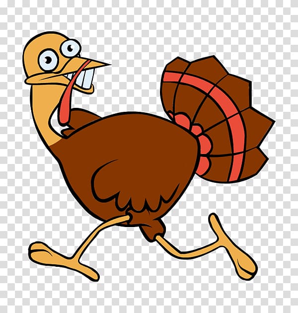 Turkey meat Turkey trot Running, funny scared transparent.