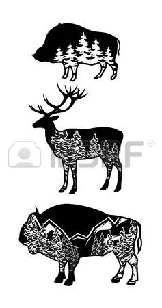 3,835 Wild Boar Stock Vector Illustration And Royalty Free Wild.