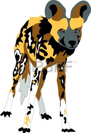 11,077 Wild Dog Stock Illustrations, Cliparts And Royalty Free.