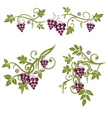 Grape Vine Border Vine grapes border vector.