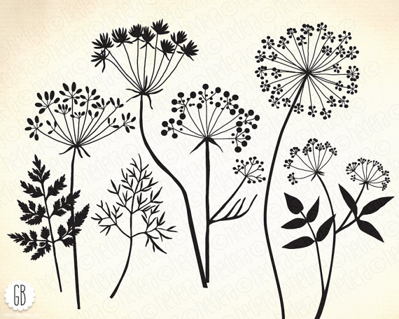 Wild herbs, flowers, silhouette vector clip art, dandelion.