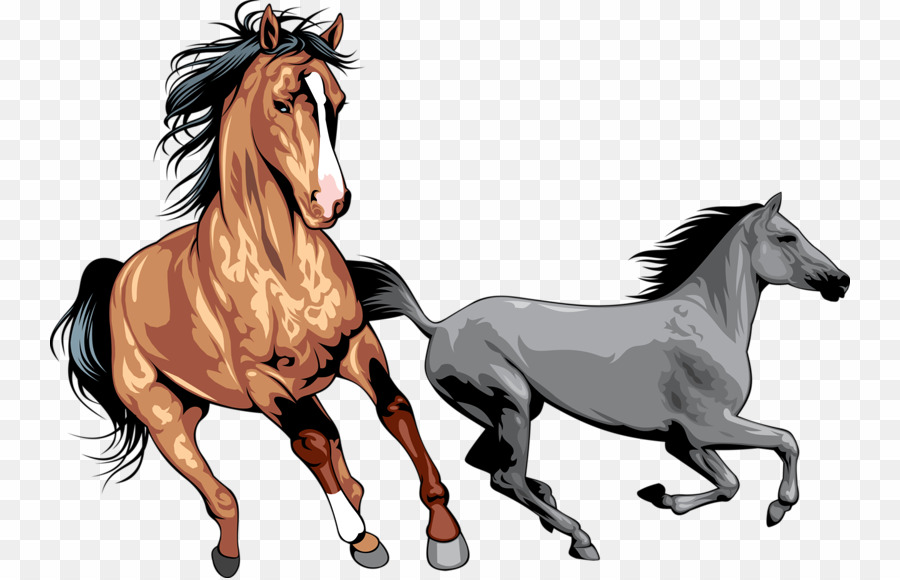 Wild Horses PNG Wild Horse Mustang Clipart download.