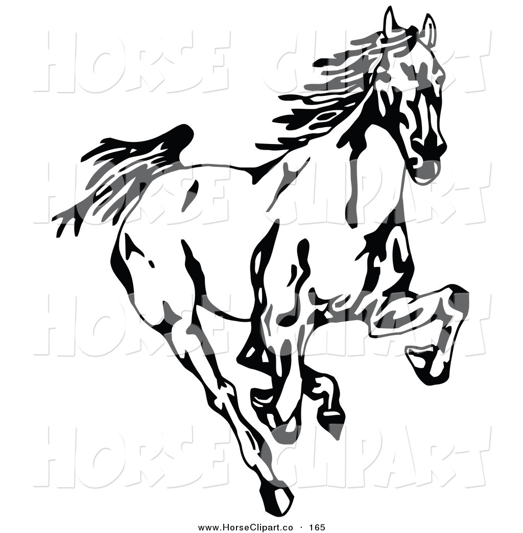 Clip Art of a Black and White Wild Mustang Running Forward Towards.