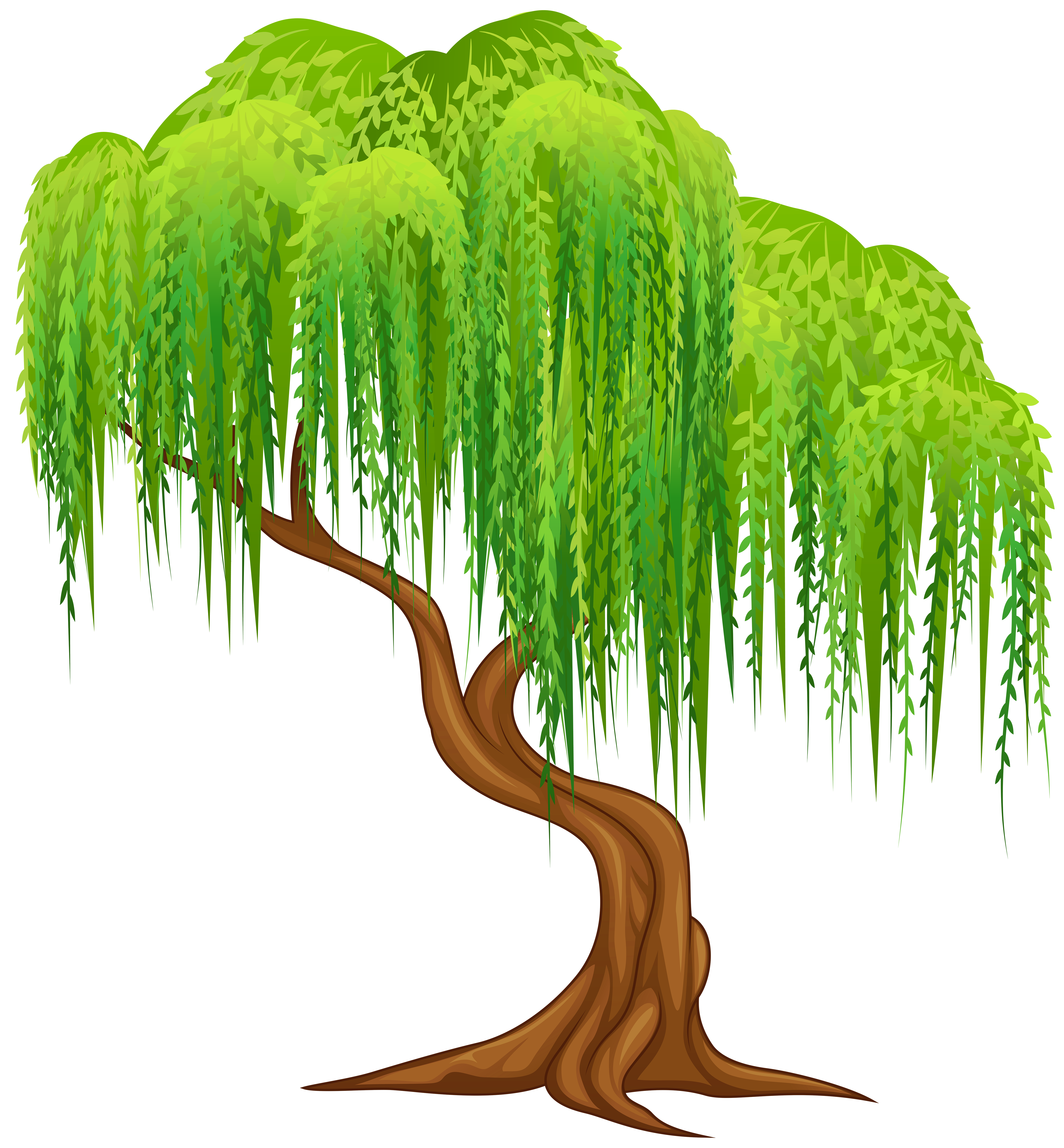 Willow Tree Clip Art.