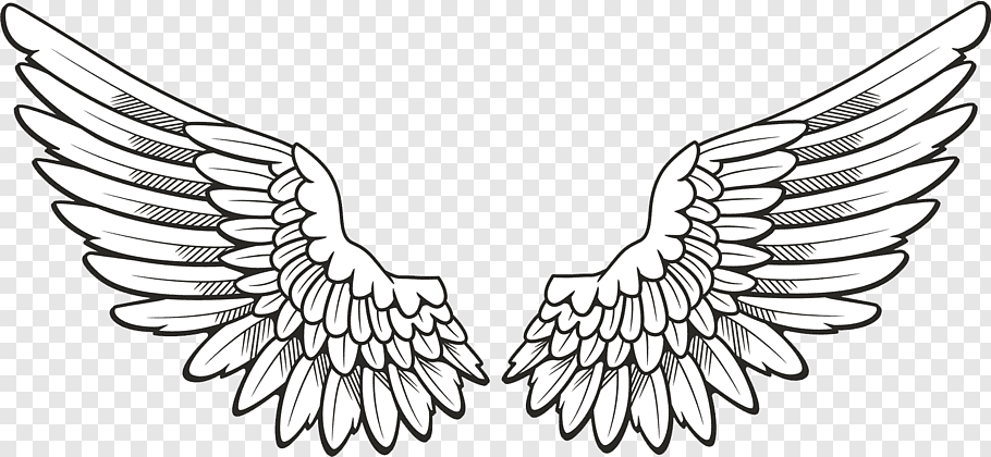 Icon Wing, Wings, pair of feather wings artwork free png.