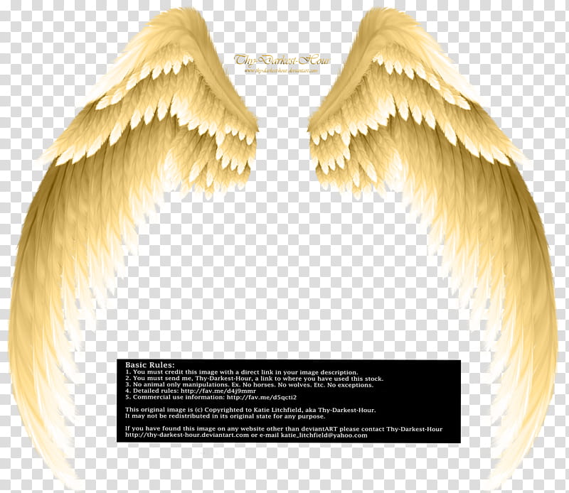 Arch Angel Wings Golden, golden wings art transparent.