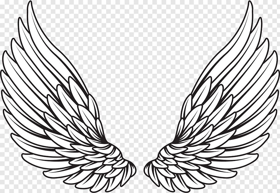 Pair of white wings illustration, Drawing, wings angel free.