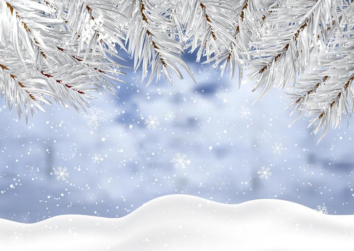 Christmas background with winter snow and tree branches.