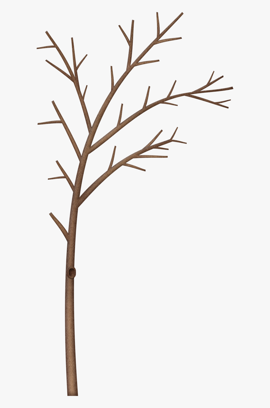 Winter Tree Branch Border Clipart , Free Transparent Clipart.