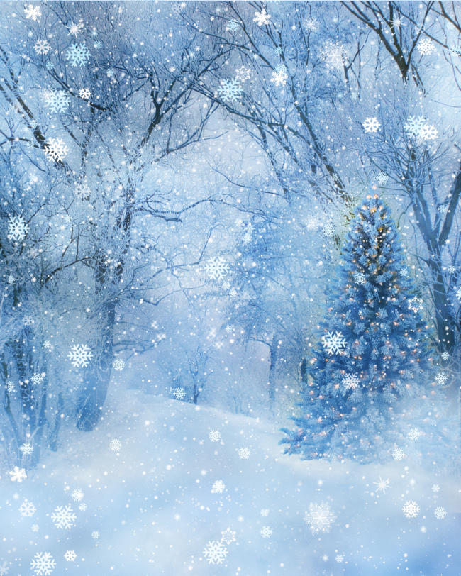 Winter Wonderland Backgrounds.