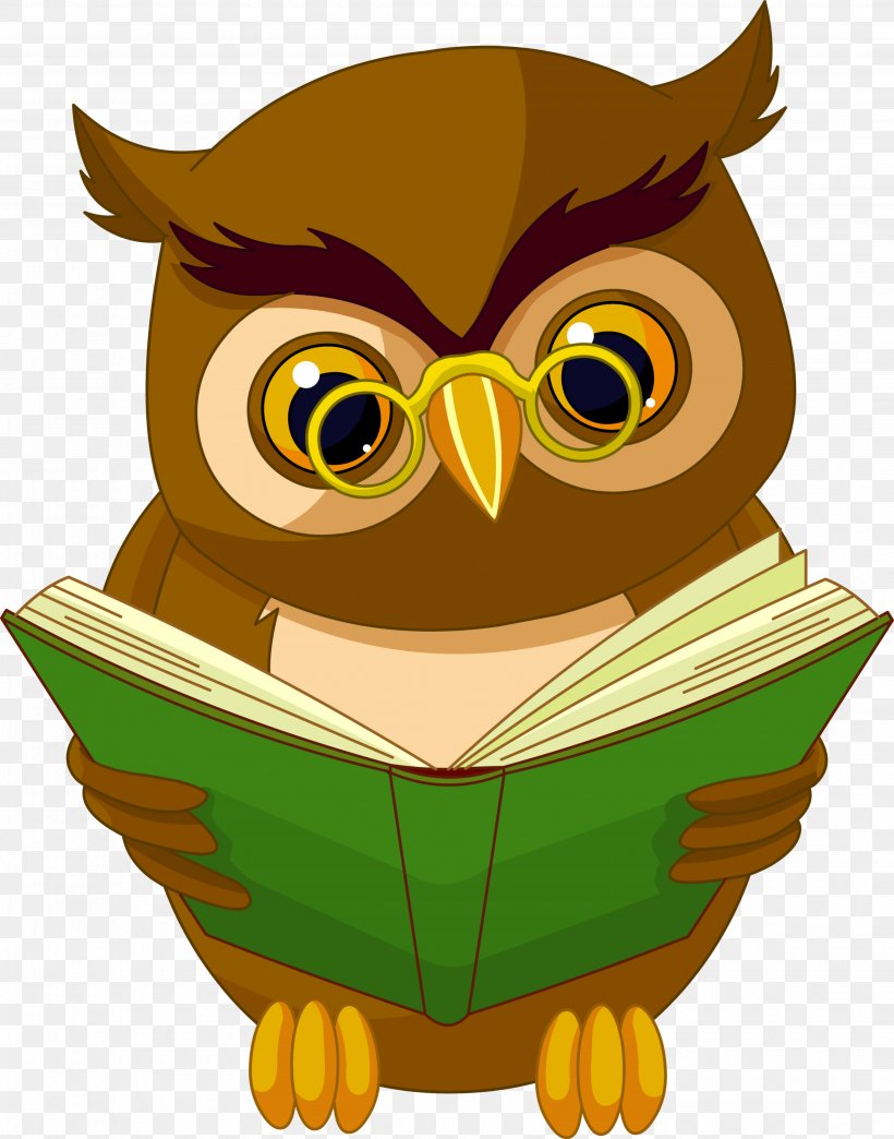 Owl Animated Cartoon Drawing Animation, PNG, 3923x4999px.