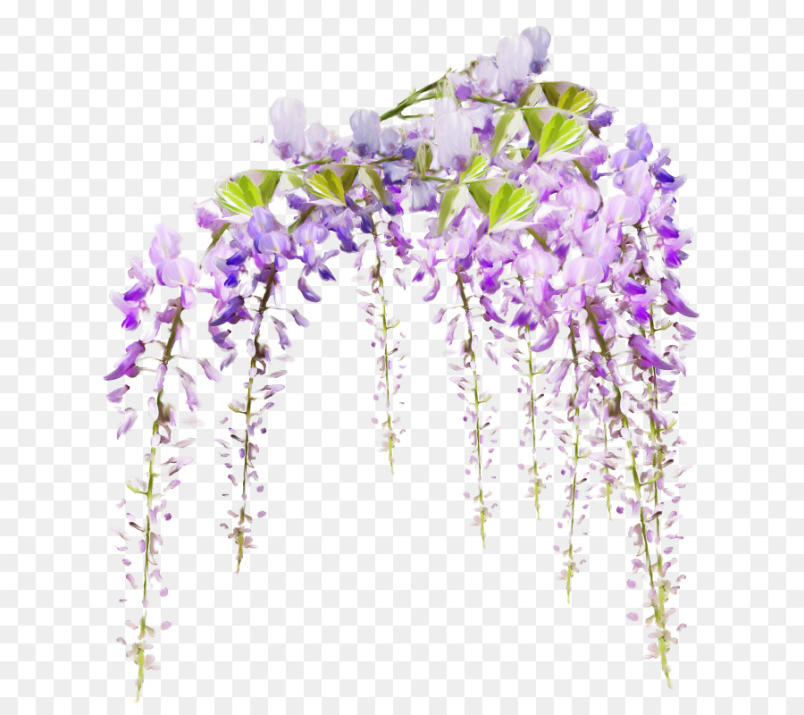 Flowers Clipart Background.