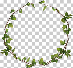 254 leaves Ring PNG cliparts for free download.