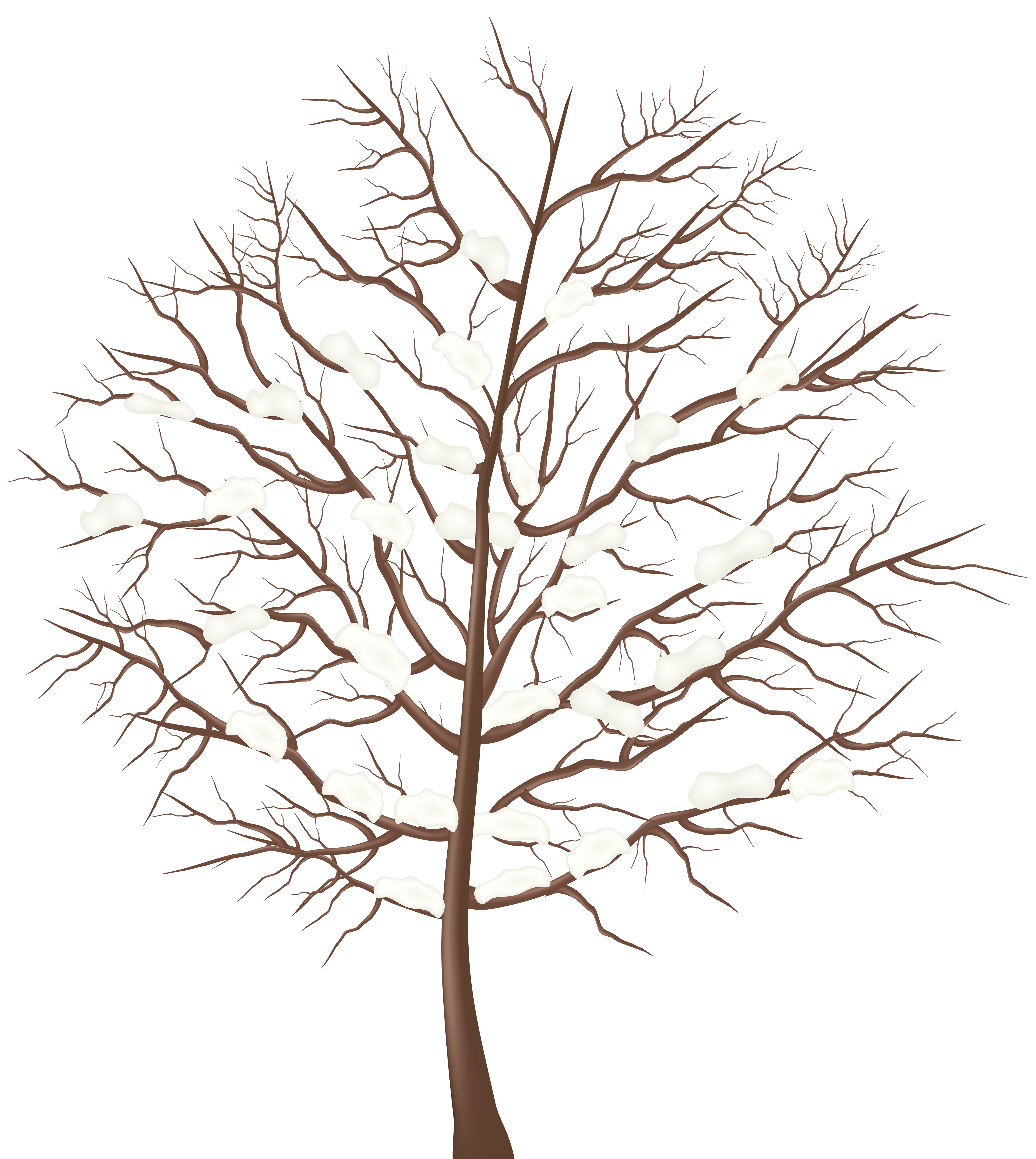 Free Winter Trees Cliparts, Download Free Clip Art, Free.