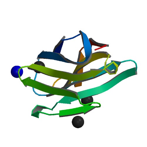 RCSB PDB.