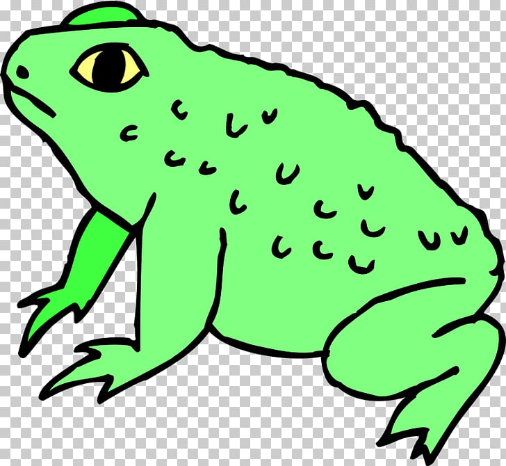 Frog Toad , frog PNG clipart.