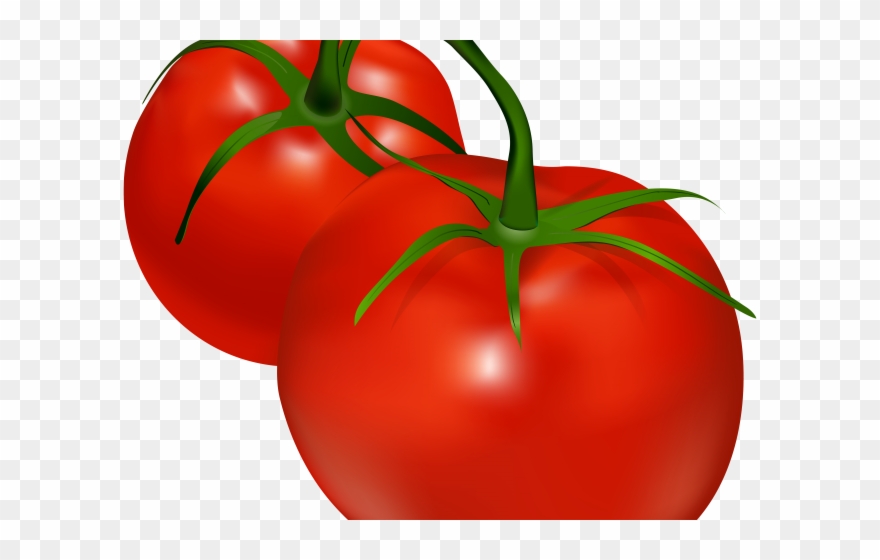 Healthy Food Clipart Tomate.