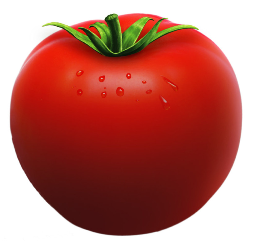 Tomato Clip Art & Tomato Clip Art Clip Art Images.