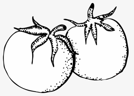 Free Tomato Black And White Clip Art with No Background.