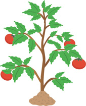 Free Plants Clipart.