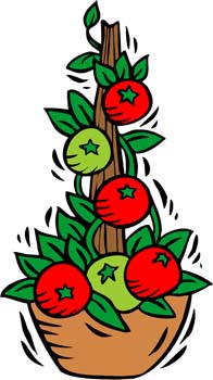 Showing post & media for Cartoon tomato plant clip art.