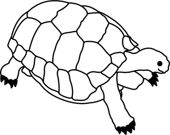 Tortoise clipart black and white 5 » Clipart Station.