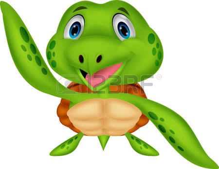 2,825 Tortoise Shell Stock Vector Illustration And Royalty Free.