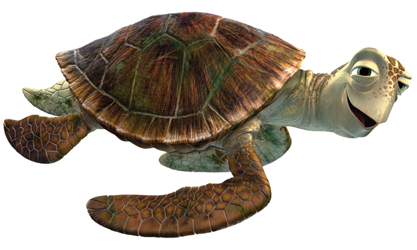 Tortugas png » PNG Image.