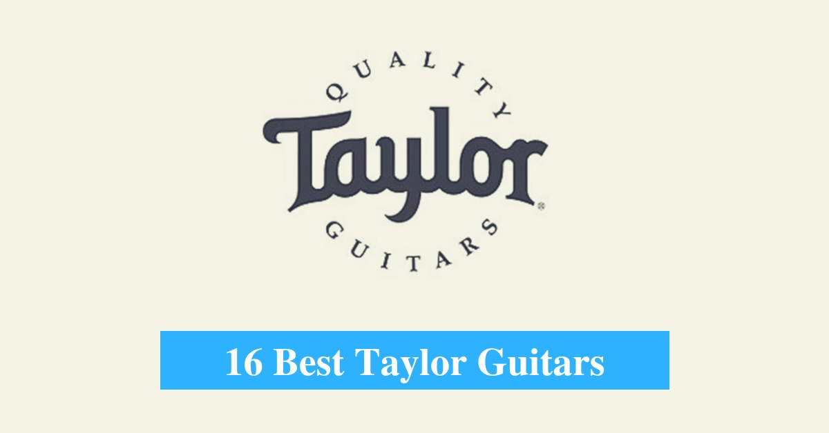 16 Best Taylor Guitar Reviews 2019.