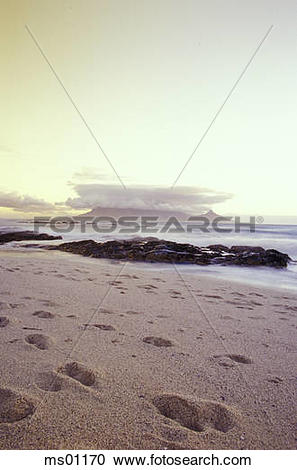 Stock Photography of Table Bay, Table Mountain and Capetown.