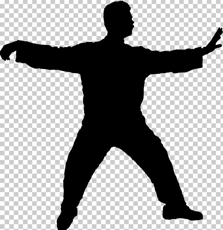 Tai Chi Qi Guang Ping Yang T\'ai Chi Ch\'uan Martial Arts.