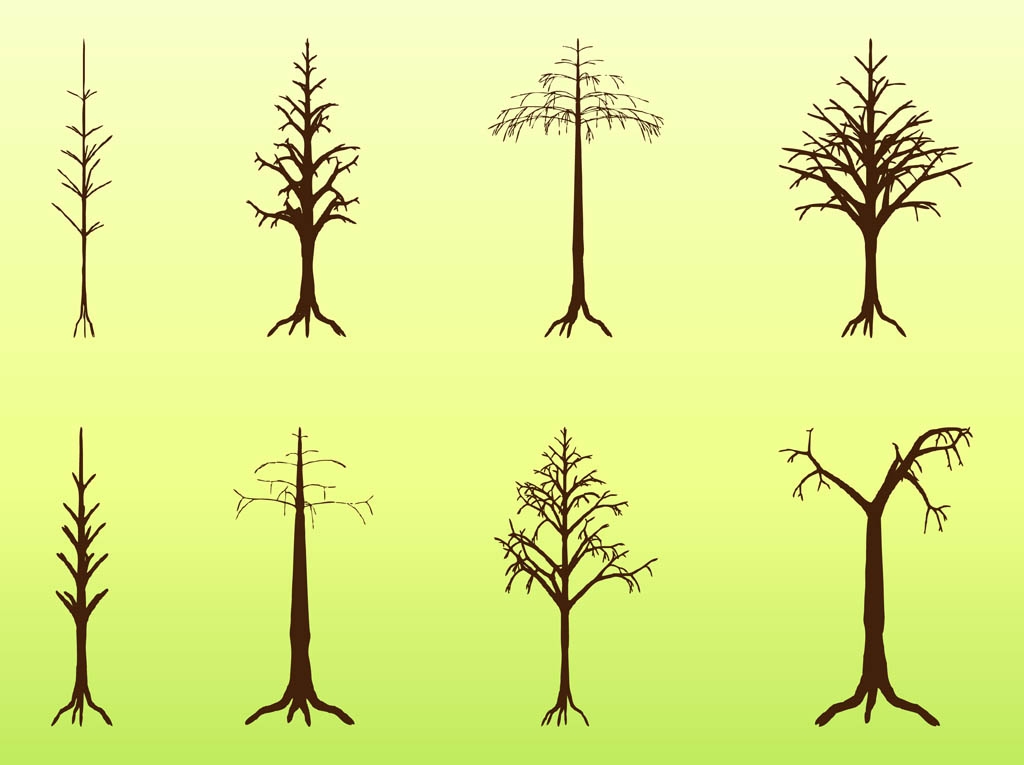 Tall Skinny Tree Clipart.