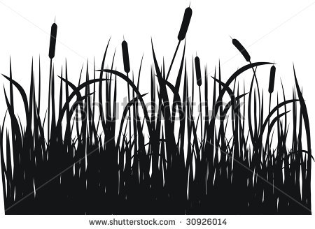 Cattail silhouette.