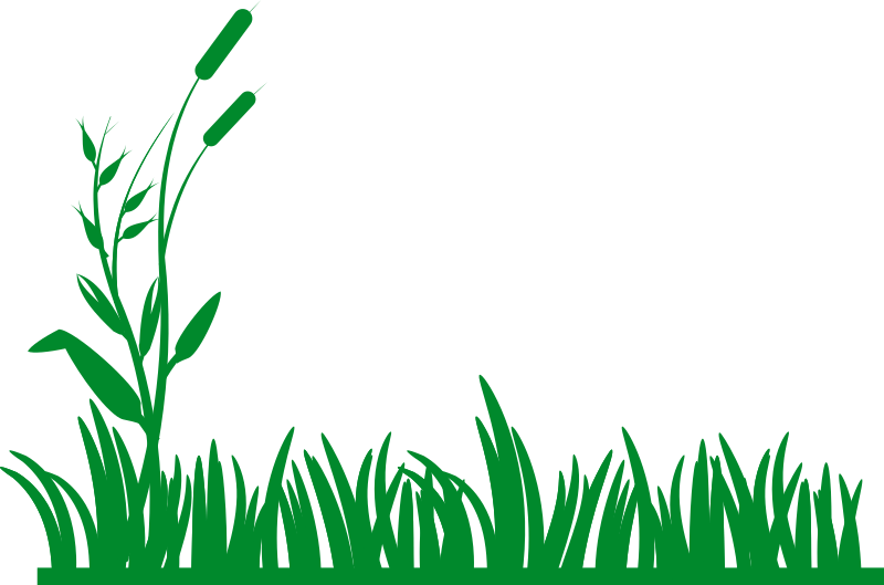 Tall Grass Clipart Grass 11 Clip Art Vector.