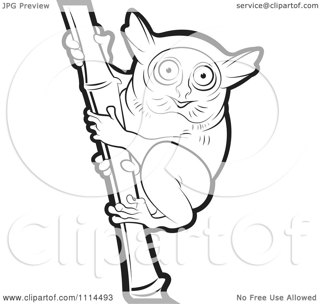 Clipart Outlined Tarsier On Bamboo 1.