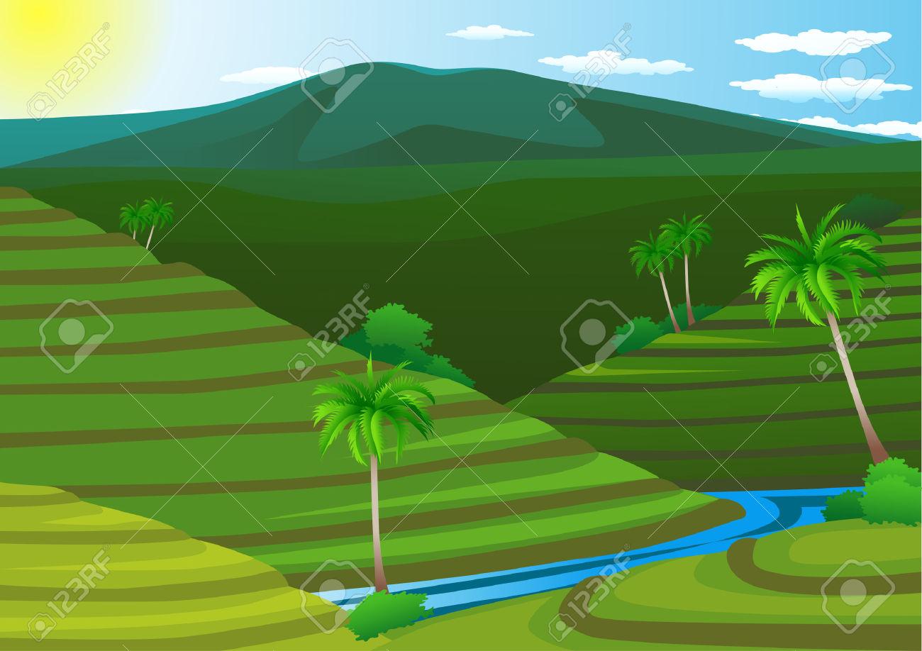 Rice Field Clip Art.