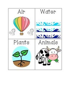 Graphic Organizer on Natural Resources.