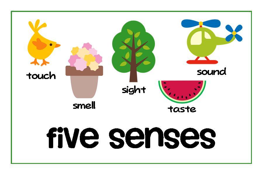 5 senses clipart 5 » Clipart Portal.