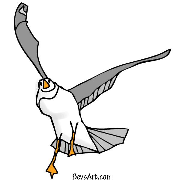 Seagull Clipart, Seagulls Free Clipart.