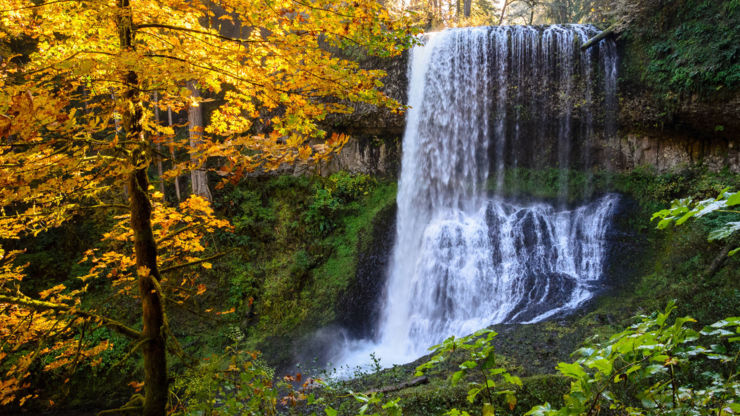 7 Things You Must Do on Your First Trip to Salem, Oregon.