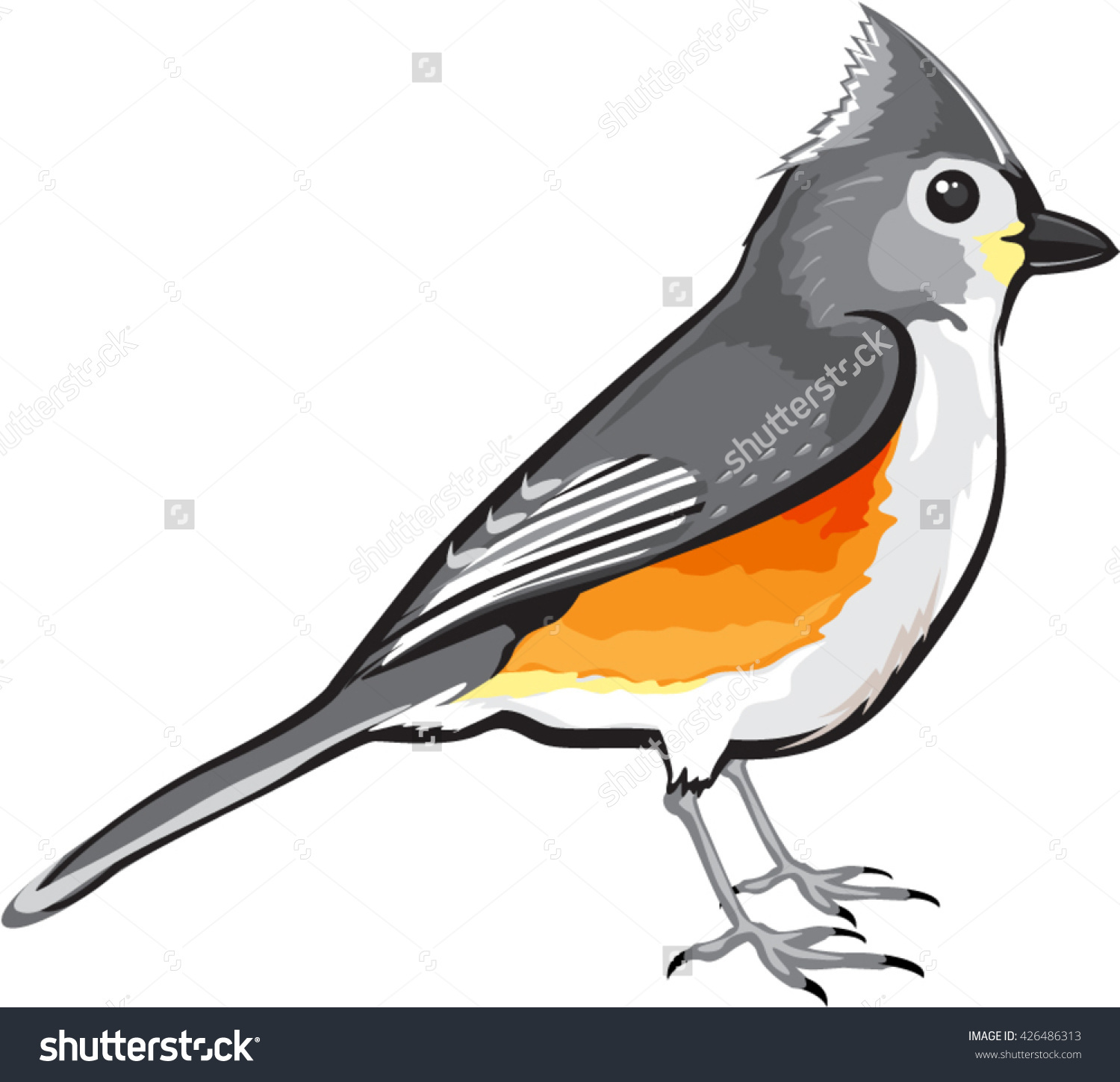 Tufted Titmouse Clip Art.