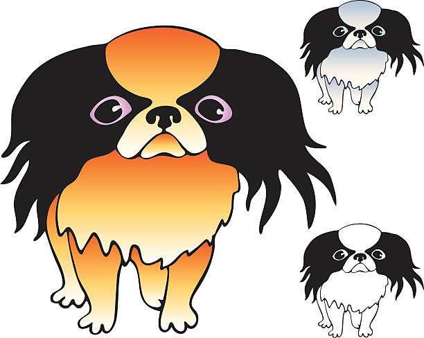 Tibetan Spaniel Clip Art, Vector Images & Illustrations.