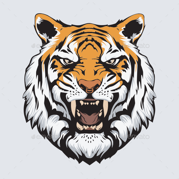 Tiger Head Vector.